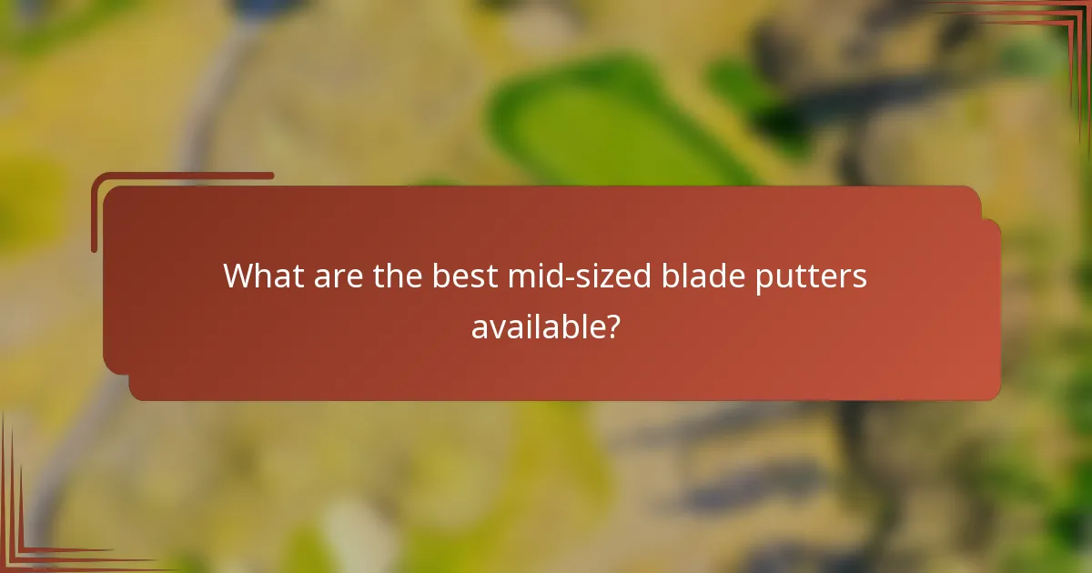 What are the best mid-sized blade putters available?
