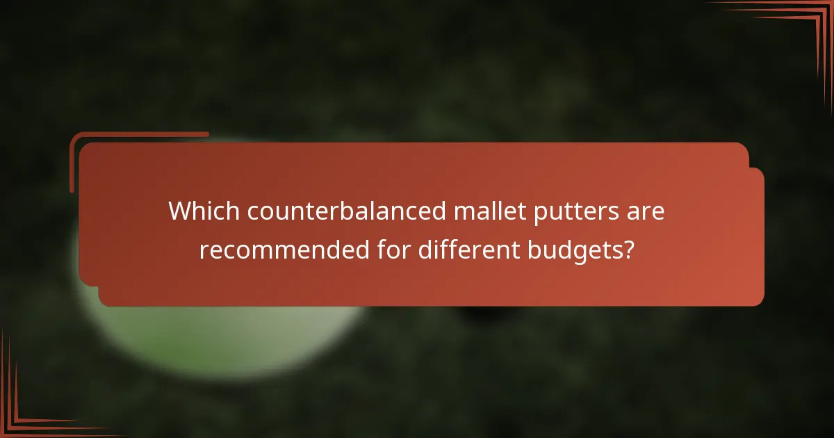 Which counterbalanced mallet putters are recommended for different budgets?