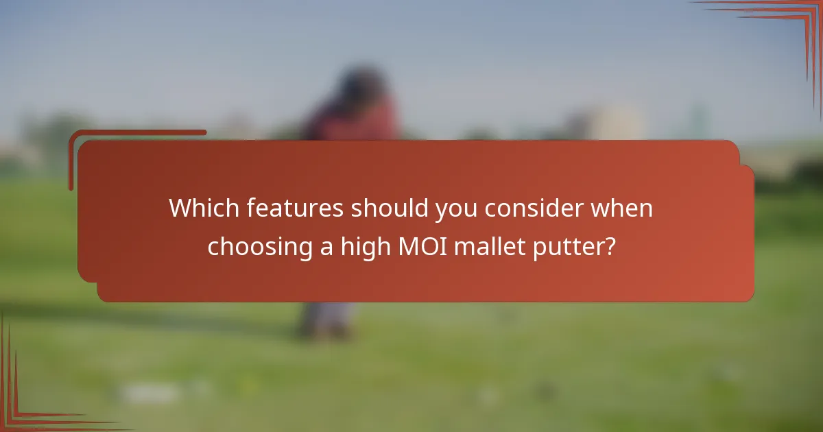 Which features should you consider when choosing a high MOI mallet putter?