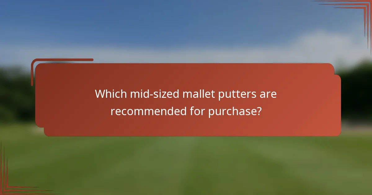 Which mid-sized mallet putters are recommended for purchase?