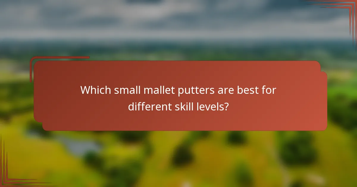 Which small mallet putters are best for different skill levels?